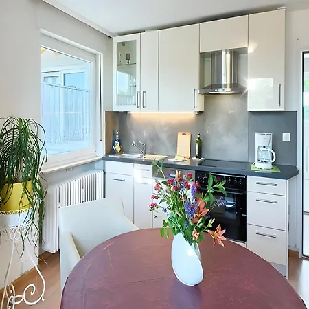 度假居 Apartmenthaus Am Schwarzwaelder Hof *